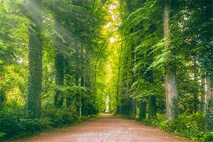 019年3月22号出生的男宝宝五行缺火要怎么起名字"