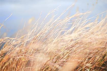 020年农历九月初九重阳节出生五行缺土男孩名字"