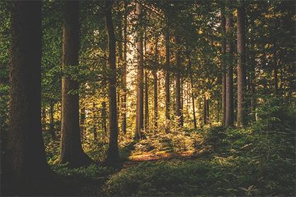 022年3月26日出生的男生帅气阳光的名字"