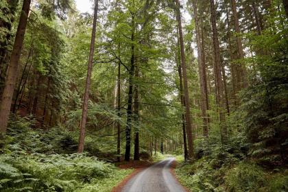 019年十月二十九出生的男孩怎样起名字，五行属什么"