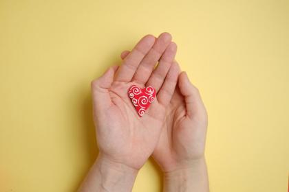 019年二月二十八出生的双胞胎女孩起怎么起名，五行属什么"