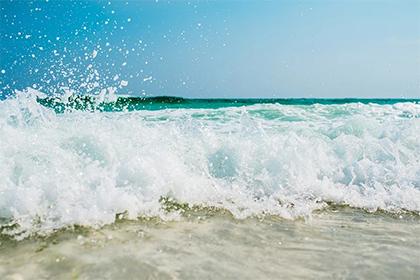 019年七月二十六出生的双胞胎女孩起名推荐，五行属什么"