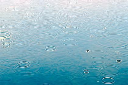 019年3月14号出生的男宝宝五行缺木要如何起名字"