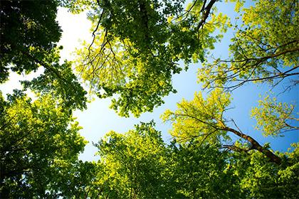 018年九月初五出生孩子怎么起名？是属什么五行呢？"