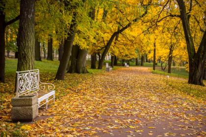 019年7月26号酉时出生的女孩起什么名字好，五行属什么？"