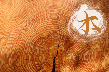 019年12月26号出生的双胞胎男孩起名方法，五行属什么"