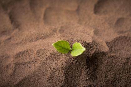 019年4月3号出生的五行缺水女宝宝怎么起名字"