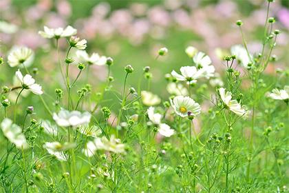 019年3月10号出生的男宝宝五行缺火要怎么起名字"