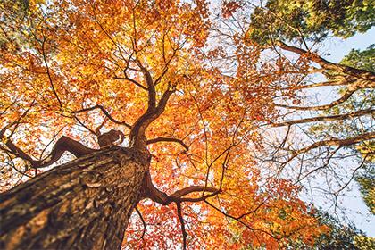 019年4月30号出生的女宝宝五行缺水怎么起名"
