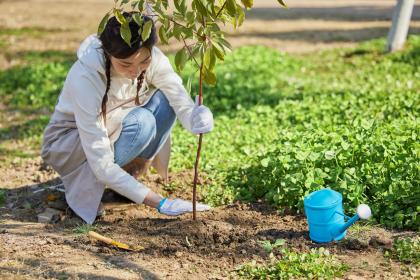 019年10月13号出生的男宝宝五行缺木如何取名字好"