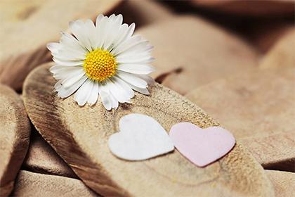 019年八月初九出生的双胞胎男孩如何起名字好，五行属什么？"