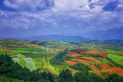 019年5月29号出生的女宝宝五行缺火应该起什么样的名字"
