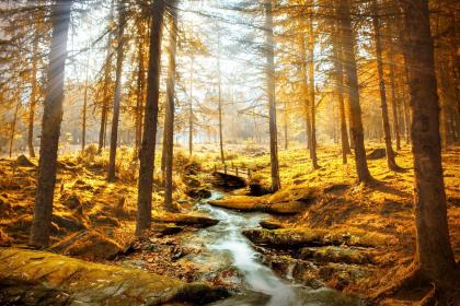 019年8月21号寅时出生的女孩名字的有哪些取法，五行属什么"