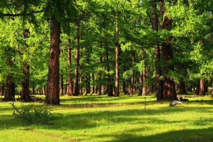019年10月28号巳时出生的男孩起名需结合五行"