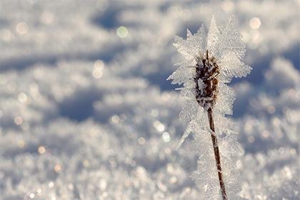 019年12月26号出生的男宝宝五行缺金如何取名好"