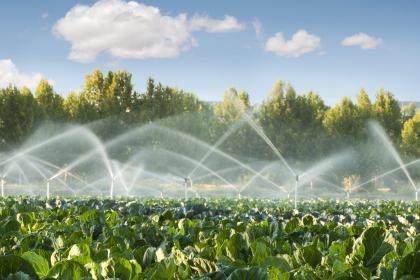 019年8月14号寅时出生的女孩取名字的方法，五行属什么"