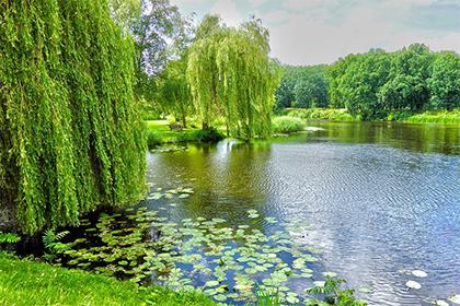 019年9月5号午时出生的男孩如何起取个幸运的名字和五行属性"