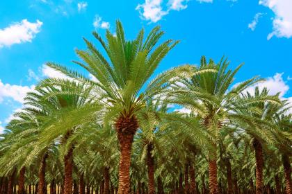 019年10月13号出生的男宝宝五行缺木如何取名字好"