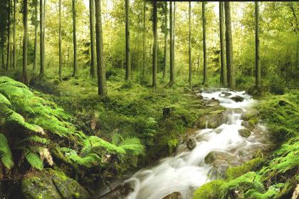 019年十月二十七出生的男孩如何起名字，五行属什么"