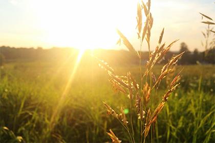 019年11月2号出生的男宝宝五行缺火怎么取名好"