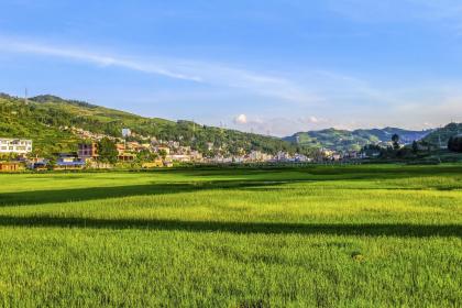 019年12月9号出生的双胞胎男孩怎么起名字，五行属什么"