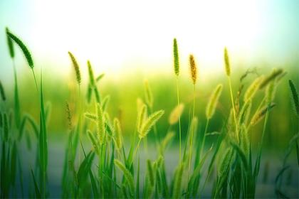 019年9月26号亥时出生的男孩如何起取个好记的名字，五行属什么"