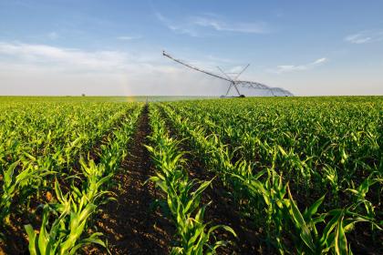 019年3月7号出生的女宝宝五行缺金要怎么起名字"