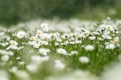 019年12月7日大雪五行缺金女孩好听的名字精选！"