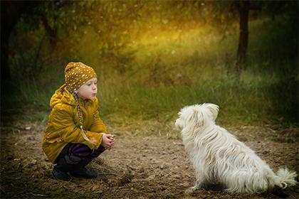 属兔亥时出生的男孩起什么名字好，不要用什么字