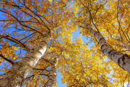 019年7月11号子时出生的女孩起什么名字好，五行属什么"