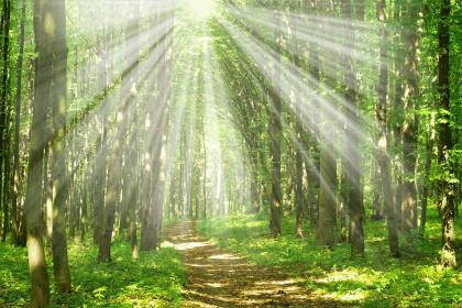 019年二月二十八出生的双胞胎女孩起怎么起名，五行属什么"