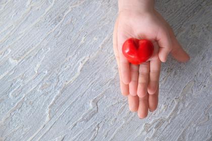 019年5月12号子时出生的女孩取什么名字最合适"