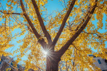 019年7月23号亥时出生的女孩怎么起名，五行是什么。"