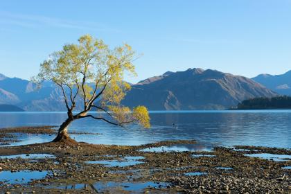 019年3月18号出生的男宝宝五行缺火要怎么起名字"