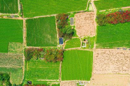 五行属木霸气好听有寓意的男孩名字