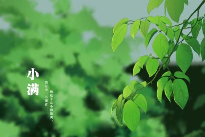 小满下午出生的女孩如何起名字