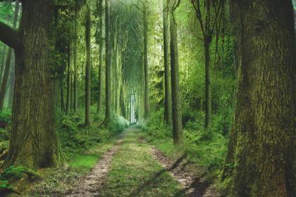 019年3月7号出生的男宝宝五行缺木要如何起名字"