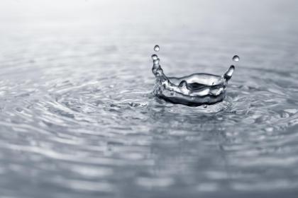 019年8月1号酉时出生的男孩五行属什么"