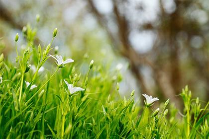 019年七月初九出生的双胞胎女孩怎么样起名，五行属什么"