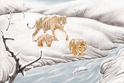 凌晨3点出生的属虎男孩起什么名，用什么字