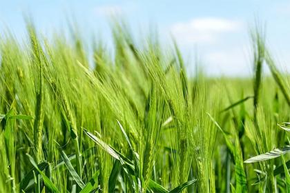 宝宝张姓五行缺金缺水大全,宝宝起名有什么规范吗？