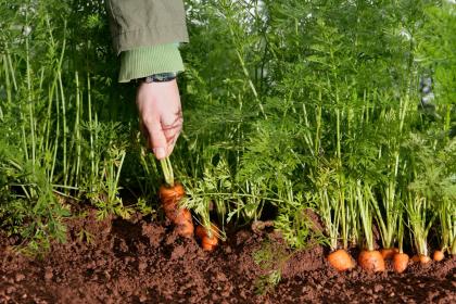 019年8月11号子时出生的女孩取名注意，五行属什么"