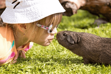 出自诗经的女孩名字单字
