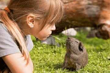 王姓女孩取名内涵诗意名字
