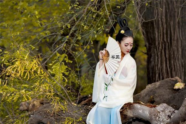 5年的属相2023年运势"