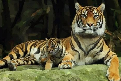 986年属虎2022年本命年运势及运程每月运程