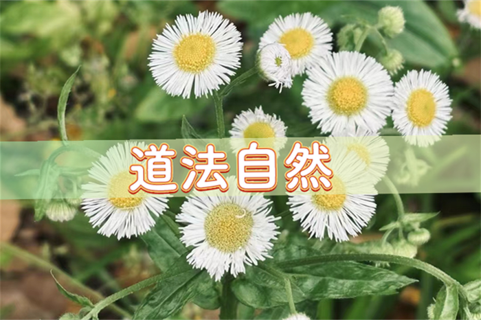 025年4月搬家黄道吉日一览表，2025年农历4月份黄道吉日"