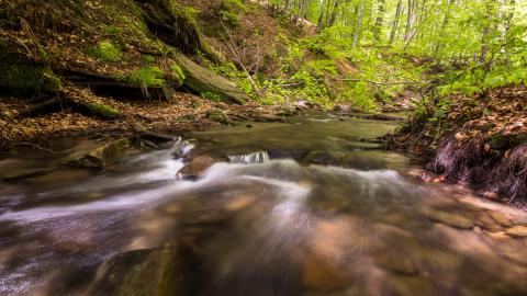 涵取名的含义 以涵字给女孩取名_1