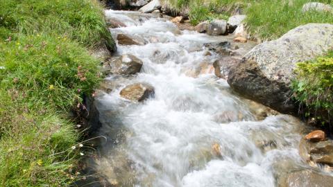 手相鸡爪纹的运势怎么看 鸡爪纹是什么意思？