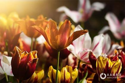 023年农历十一月提车黄道吉日，阴历十一月宜提新车的好日子"